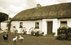 Traditional Irish Cottage
