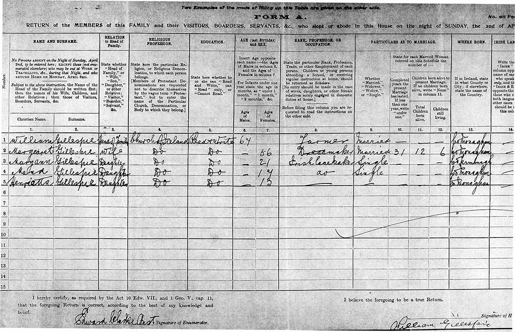 1911 census return